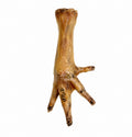 Paddock farm Chicken Feet single