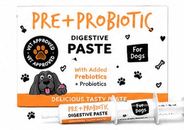 Digestive Pre + Probiotic Paste 30ml