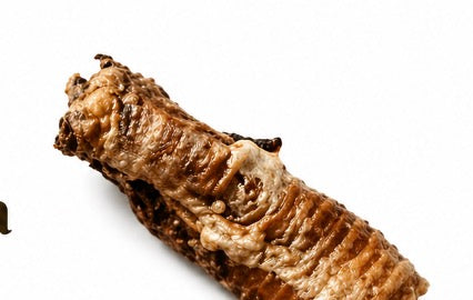 Buffalo trachea single