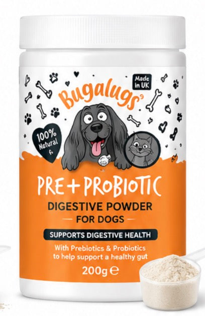 Pre + Probiotic Digestive Powder Supplement